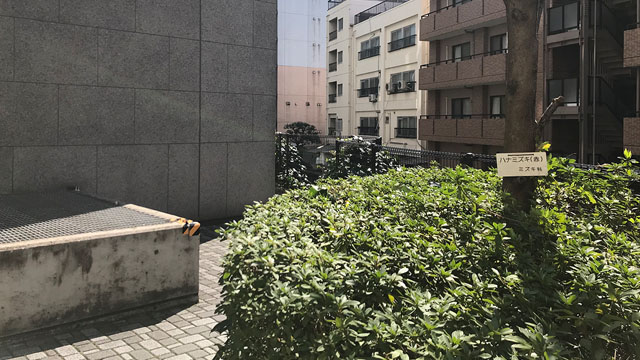 2019doukuinfo09